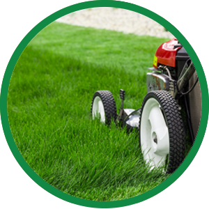 st george lawn care services